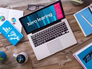 Advanced Certificate in Xero