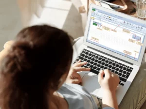 Advanced Certificate in Microsoft Excel