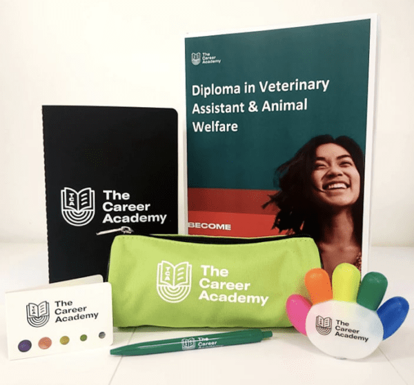 Study-Success-Bundle
