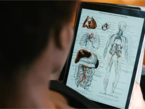 Certificate in Human Anatomy & Physiology