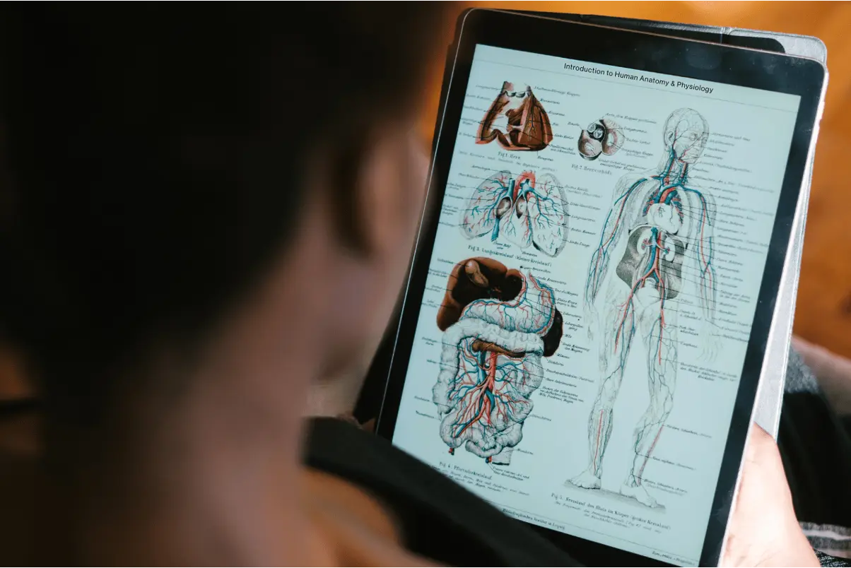 Certificate in Human Anatomy & Physiology